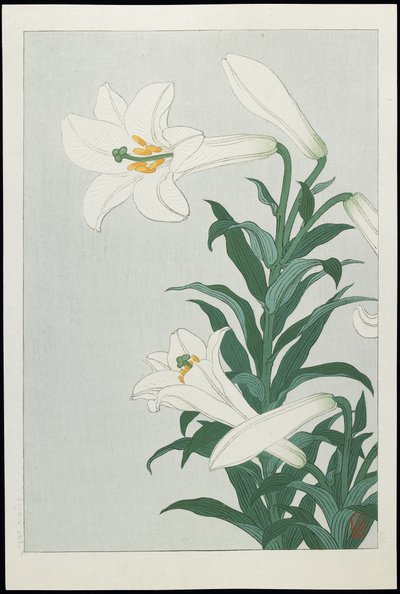White Lily, 1930s by Ohara Koson